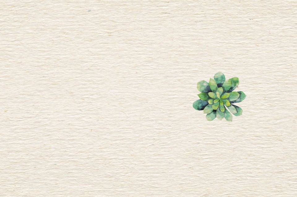 Mariana e Rodrigo, Fazenda Vila Rica.